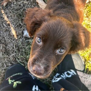 Meet your Posher, Taylor